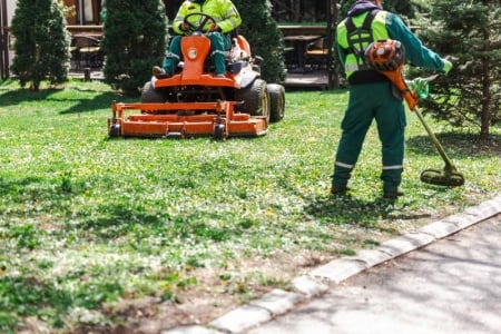 Les secrets d'un entretien espaces verts réussi toutes les saisons