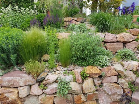 V&eacute;g&eacute;talisation &agrave; Marly, cr&eacute;ez des espaces verts luxuriants