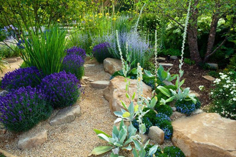 Min&eacute;ralisation du jardin : cr&eacute;er un espace &eacute;l&eacute;gant et durable